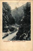 Petrozsény, Petrosany, Petrosani; Részlet a szurduki szoros. Herz Henrik kiadása 1909. Kohn R. felvétele / Pasul Surduc / gorge (EK)