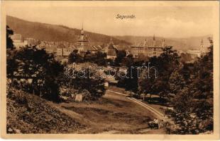 Segesvár, Schässburg, Sighisoara; látkép. Zeidner H. kiadása / general view