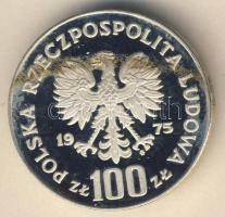 Lengyelország 1975. 100Zl Ag "Királyi kastély Varsóban" T:PP