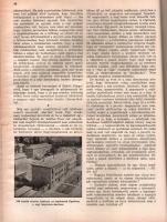 1961 Magyar naptár. New York, 1962., Amerikai Magyar Szó. Fekete-fehér illusztrációkkal. Emigráns ki...