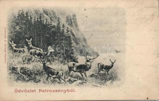 Petrozsény hunting scene