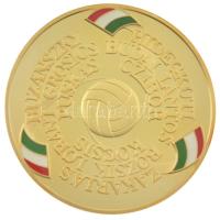 Rónay Attila (1971-) 2003. "Magyarország-Anglia 6:3, 50. évforduló" részben multicolor, aranyozott, jelzett Ag emlékérem, peremén "0538" sorszámmal, tanúsítvánnyal, eredeti tokban (31,30g/0.999/42,5mm) T:PP