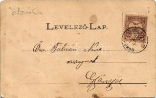 1901 Szliács, Sliac; Fürdőház, Üdvözlet nyaraló, Társalgó terem, József forrás. Kerekes Miklós kiadá...