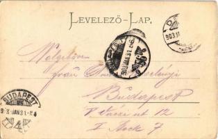 1903 Déva, vár, Holtzer Károly, Szőcs F. Lajos és Hirsch Testvérek üzlete. Holzer Károly saját kiadá...