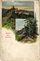 1916 Árvaváralja, Árva-Váralja, Oravsky Podzámok; vár / hrad / castle. Pietschmann Ferenc No. 4207. (Rb)