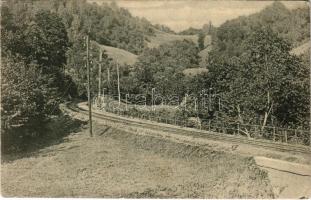 1929 Petrozsény, Petroseni, Petrosani; O perte din calea ferata spra cetatea Boli (Pestera Bolii) / A Boli-barlanghoz vezető vasút részlete / railway line to the Bolia cave (EK)