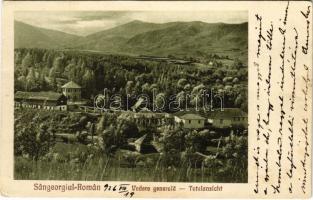 1926 Oláhszentgyörgy, Sangeorgiul Roman, Sangeorz-Bai; Fürdő látképe / Vederea generala / spa (EK)