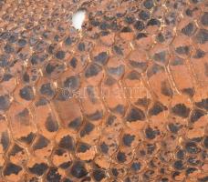 Kígyóbőr, cca 160x30 cm, feltekerve, kopásokkal