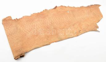 Kígyóbőr, cca 160x30 cm, feltekerve, kopásokkal