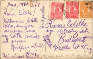 1924 Arad, Strand si Regata / strandfürdő / beach, spa. photo (fl)