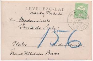 1912 Érsemjén, Simian; feldíszített lovas hintó a kúria kertjében / decorated horse chariot in the v...