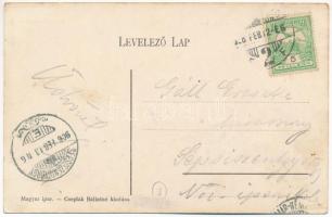 1908 Szatmárnémeti, Satu Mare; Hám János utca. Cseplák Bálintné kiadása / street