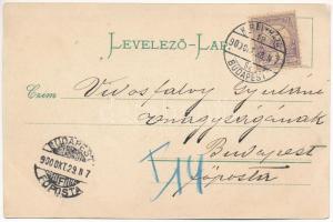 1900 Szatmárnémeti, Satu Mare; Kossuthkert, Városi Kiosk. Lövy Miksa kiadása / restaurant garden (EK...