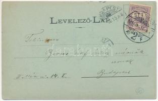 1901 Szatmárnémeti, Satu Mare; Deák tér, piac, Pázmány Sajtó. Weisz Izsák kiadása / square, shops, m...