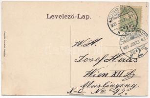 1906 Szatmárnémeti, Satu Mare; Kossuth kerti tó. Cseplák Bálintné kiadása / park and lake