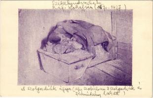 Székelyudvarhely, Odorheiu Secuiesc; Református Kollégium (1670-1927) 10., a szolgák ágya. Légrády rt. kiadása / tradition of the Calvinist boarding school