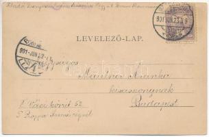 1901 Szászváros, Broos, Orastie; Fő tér. H. Graef / main square (ázott / wet damage)