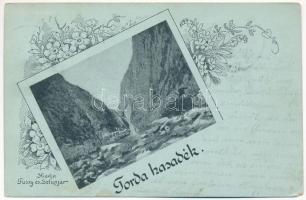 1901 Tordai-hasadék, Cheile Turzii, Torda, Turda; Torda hasadék. Füssy és Sztupjár kiadása / mountain pass, gorge. Art Nouveau, floral (EK)