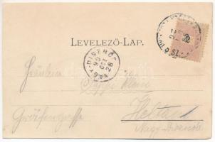 1899 (Vorläufer) Szászváros, Broos, Orastie; utca, F. Eisenmenger üzlete / street view, shop (vágott...