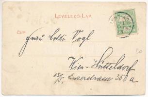 1911 Szentágota, Agnetheln, Agnita; von der Steinburgshöhe. Friedrich Breckner (EK)