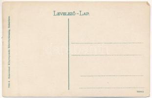 Szászváros, Broos, Orastie; Református Kún kollégium / Calvinist boarding school (EM)