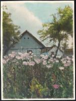 1933 Vidéki tájrészletek, 3 db kézzel színezett fotó, 17×23 cm