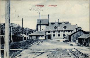 1912 Tatabánya, Brikettgyár, iparvasút