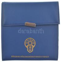 Rácz Edit (1936-) 1982. "30 éves a Vezess Baleset Nélkül Mozgalom" bronz plakett, eredeti ...