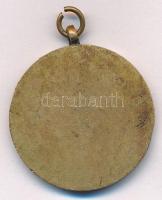 1954. "1954. évi Dunai Árvízvédelemért" aranyozott bronz T:XF