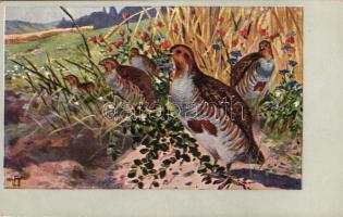 Pheasants