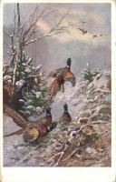 Pheasants (Ek)