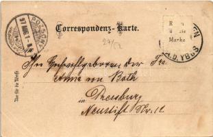 1897 (Vorläufer) Waidhofen an der Ybbs, Zell, Schloss. Art Nouveau, floral, litho (Rb)