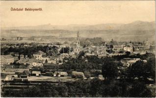 1912 Belényes, Beius; látkép. Wagner Villi kiadása / general view