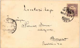 1900 Hölgy - Kézzel festett képeslap / Lady - hand-painted postcard s: S.B