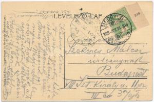 1908 Medgyes, Mediasch, Medias; látkép. Fritz Guggenberger kiadása / general view (fl)