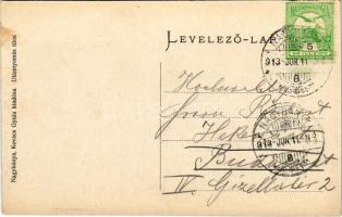 1913 Nagybánya, Baia Mare; látkép, építkezés. Kovács Gyula kiadása / general view, construction