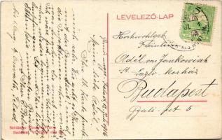 1916 Feled, Veladín, Feledince, Jesenské; postahivatal, kastély. Schlänger Károly és társa kiadása /...