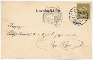 1907 Szenice, Szenicz, Senitz, Senica nad Myjavou; Kuffner uradalom kastélya (lebontották). Löffler ...