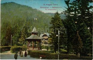 Barlangliget, Höhlenhain, Tatranská Kotlina (Tátra, Magas Tátra, Vysoké Tatry); Nefelejts villa és zenepavilon / spa, villa, music pavilion (fl)