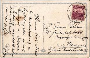 Nyitra, Nitra; Wilsonové ulica / utca, üzlet, katonák / street, shop, soldiers marching (EK)