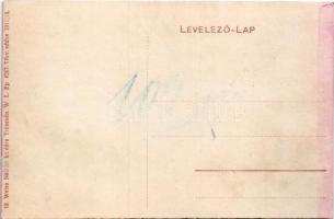 Trencsén, Trencín; Frigyes főherceg út, vár. Weisz Náthán kiadása 12. W.L. Bp. 4567. 1911/14. / stre...