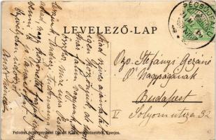 1911 Pécsújfalu, Péchújfalu, Frauendorf, Pecovská Nová Ves; Bornemissza kúria, kastély. Divald K. fi...