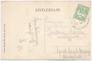 1912 Komáromfüss, Komárom-Füss, Fis, Trávnik; Fő tér, Saltzer Mór vegyeskereskedés üzlete, bor, sör ...