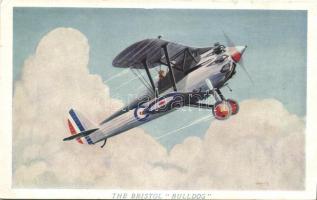 The Bristol bulldog air force