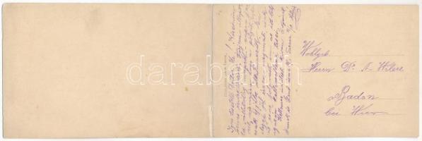 Tarcsafürdő, Bad Tatzmannsdorf; Sétatér és Batthyány szálloda. Hönigmann Jakab kiadása / promenade, ...