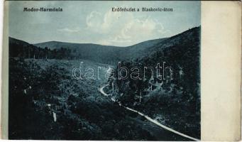 Modor-Harmónia, Modra; Erdőrészlet a Blaskovic úton. Laczkovich Róbert kiadása / forest road (képeslap füzetből / from postcard booklet)