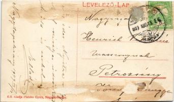 1909 Nagytapolcsány, Topolcany; Deák Ferenc tér. Platzko Gyula kiadása / square (vágott / cut)