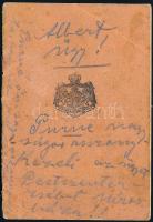 1922 Fényképes román útlevél / Romanian passport
