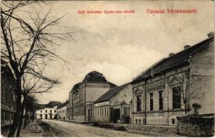 1910 Törökbecse, Újbecse, Novi Becej; Gróf Andrássy Gyula utca. Jovánovits Giga kiadása / street (fl)