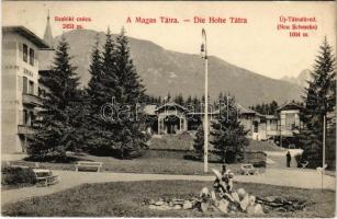 1910 Újtátrafüred, Neu-Schmecks, Novy Smokovec (Magas-Tátra, Vysoké Tatry); Szalóki csúcs, kávéház, Erika villa / cafe shop, villa (Rb)